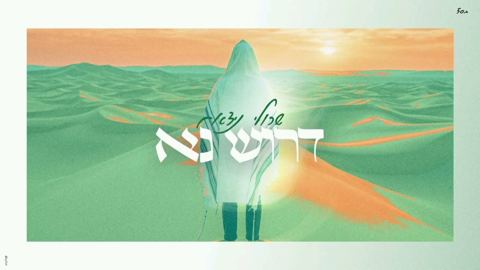 עטיפת האלבום של שרולי נידאם - דרוש נא
