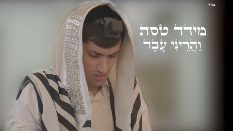 עטיפת האלבום של מידד טסה - והריני עבד