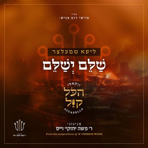 עטיפת האלבום של ליפא שמעלצר - שלם ישלם - ווקאלי