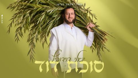 עטיפת האלבום של יואלי דוידוביץ - סוכת דוד
