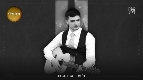 עטיפת האלבום של משה קליין - לא עזבת - ווקאלי
