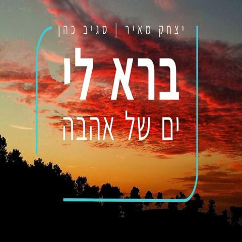 עטיפת האלבום של יצחק מאיר וסגיב כהן ברא לי ים של אהבה