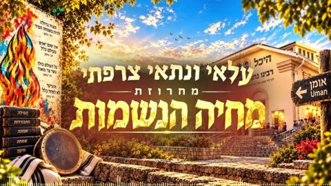 עטיפת האלבום של עלאי ונתאי צרפתי - מחרוזת מחיה הנשמות