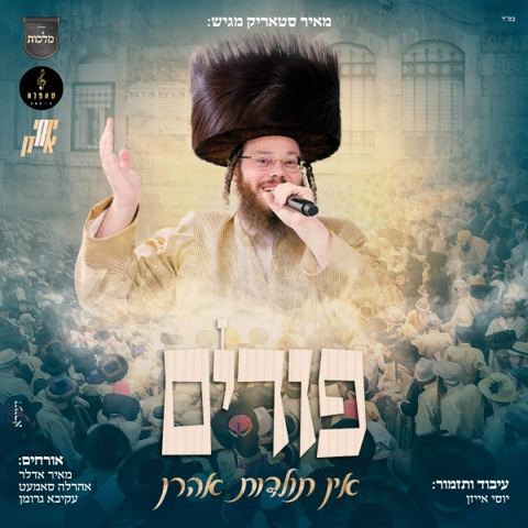 עטיפת האלבום של מאיר סטאריק -  פורים אין תולדות אהרן - תקציר האלבום