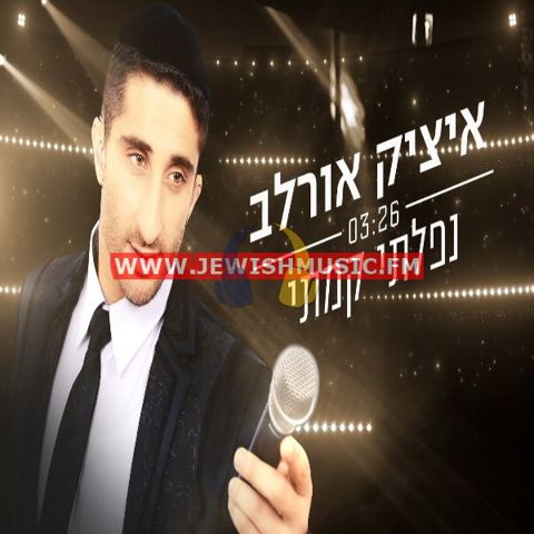 עטיפת האלבום של נפלתי קמתי