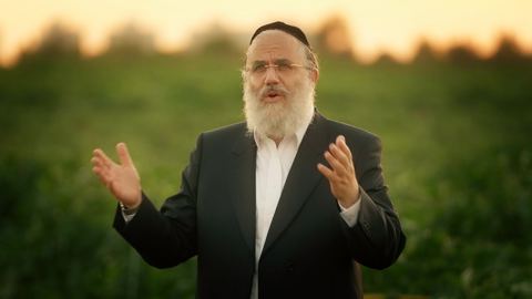 עטיפת האלבום של שלמה כהן - שמיטה תשפב