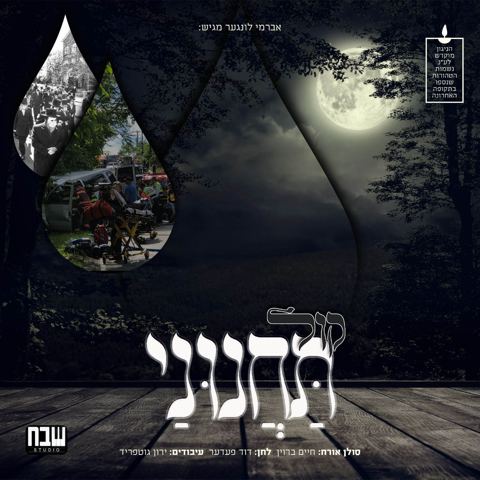 עטיפת האלבום של חיים ברוין - קול תחנוני