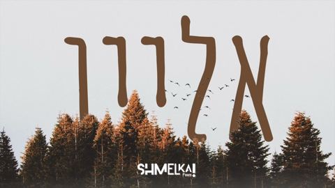 עטיפת האלבום של שרולי גרין - אליין - רמיקס