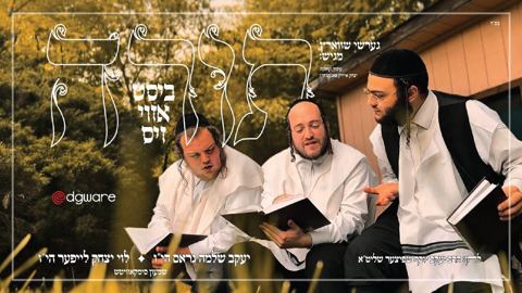 עטיפת האלבום של יעקב שלמה גראס & לוי יצחק לייפער - תורה ביסט אזוי זיס