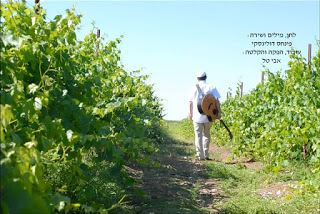 עטיפת האלבום של האם יבש המעיין