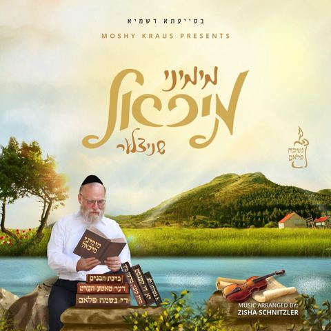 עטיפת האלבום של מימיני מיכאל