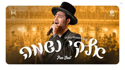 עטיפת האלבום של וואלווי רוזנברג - אלוקי נשמה