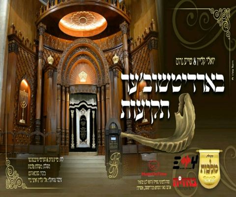 עטיפת האלבום של יואלי קליין תקיעות