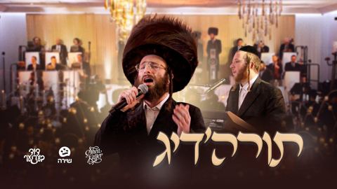 עטיפת האלבום של דוד בערגער - תורה'דיג