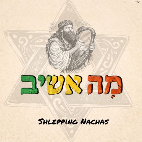 עטיפת האלבום של שלפינג נחת - מה אשיב