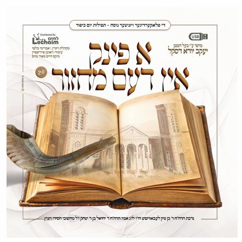 עטיפת האלבום של יענקי דסקל - א פינק אין דעם מחזור 2 - תקציר האלבום