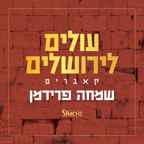 עטיפת האלבום של שמחה פרידמן, ארי היל - מוכנים
