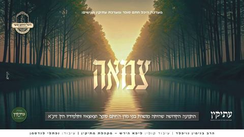עטיפת האלבום של בנימין נויפלד & מקהלת מתיקין - צמאה