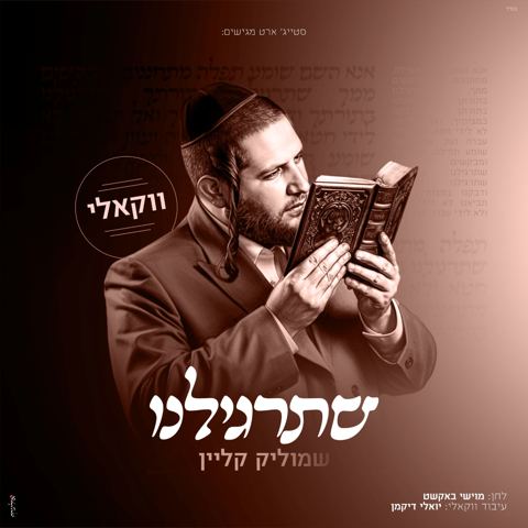 עטיפת האלבום של שמוליק קליין - שתרגילנו - ווקאלי