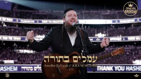 עטיפת האלבום של ג'ואי ניוקם - עמלים בתורה